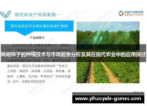 姚明柿子的种植技术与市场前景分析及其在现代农业中的应用探讨