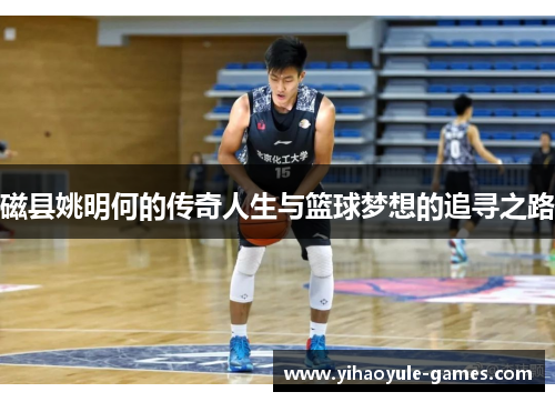 磁县姚明何的传奇人生与篮球梦想的追寻之路